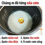 Cơm bị sống phải làm sao? [Cách xử lí nhanh và hiệu quả nhất]