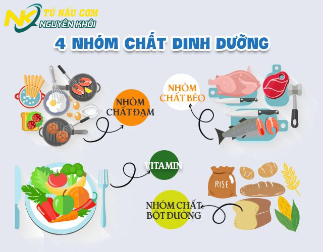 4 nhóm chất dinh dưỡng