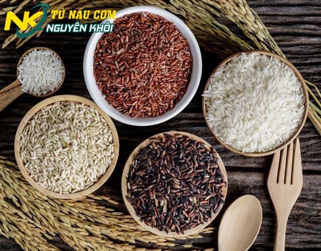 1kg gạo nấu được bao nhiêu bát cơm