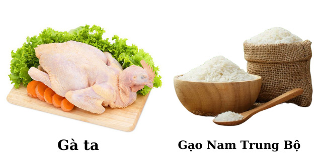 Chọn gà ta và gạo ngon nấu cơm gà, lưu ý khi chọn nguyên liệu nấu cơm gà