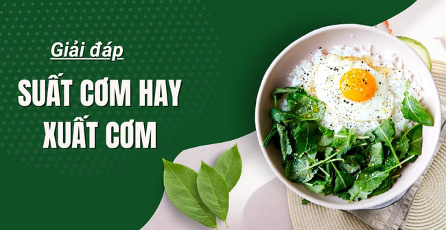 Suất cơm hay xuất cơm là đúng – [Đáp Án Chính Xác Nhất]