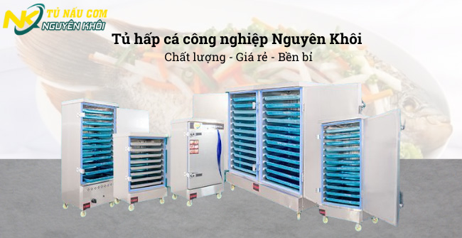 Nguyên Khôi - Địa chỉ mua tủ điện hấp cá công nghiệp uy tín nhất, tìm mua tủ hấp công nghiệp
