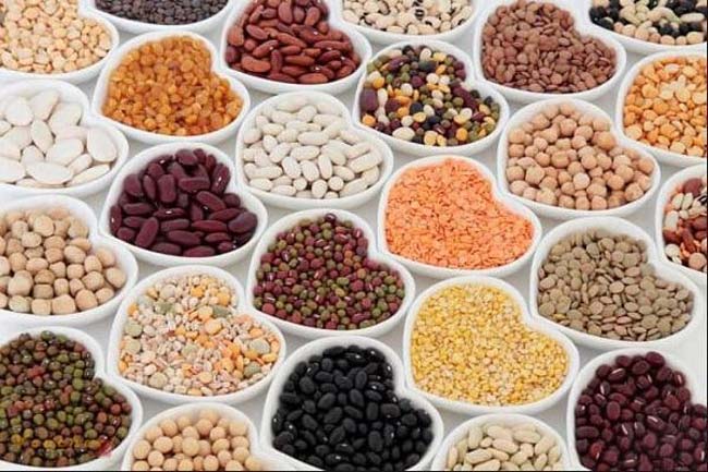 Các loại hạt chứa nhiều chất dinh dưỡng, hạt và đậu