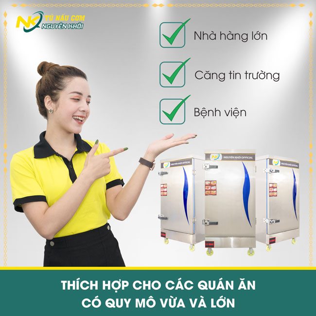 Thiết kế phù hợp với mọi căn bếp, Tủ nấu cơm bằng hơi