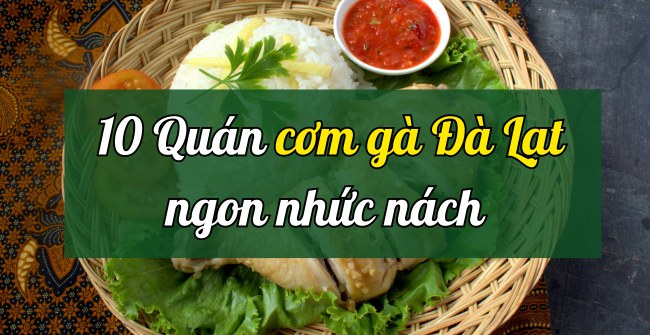 TOP 10 quán cơm gà Đà Lạt ngon nhức nách, ăn là ghiền